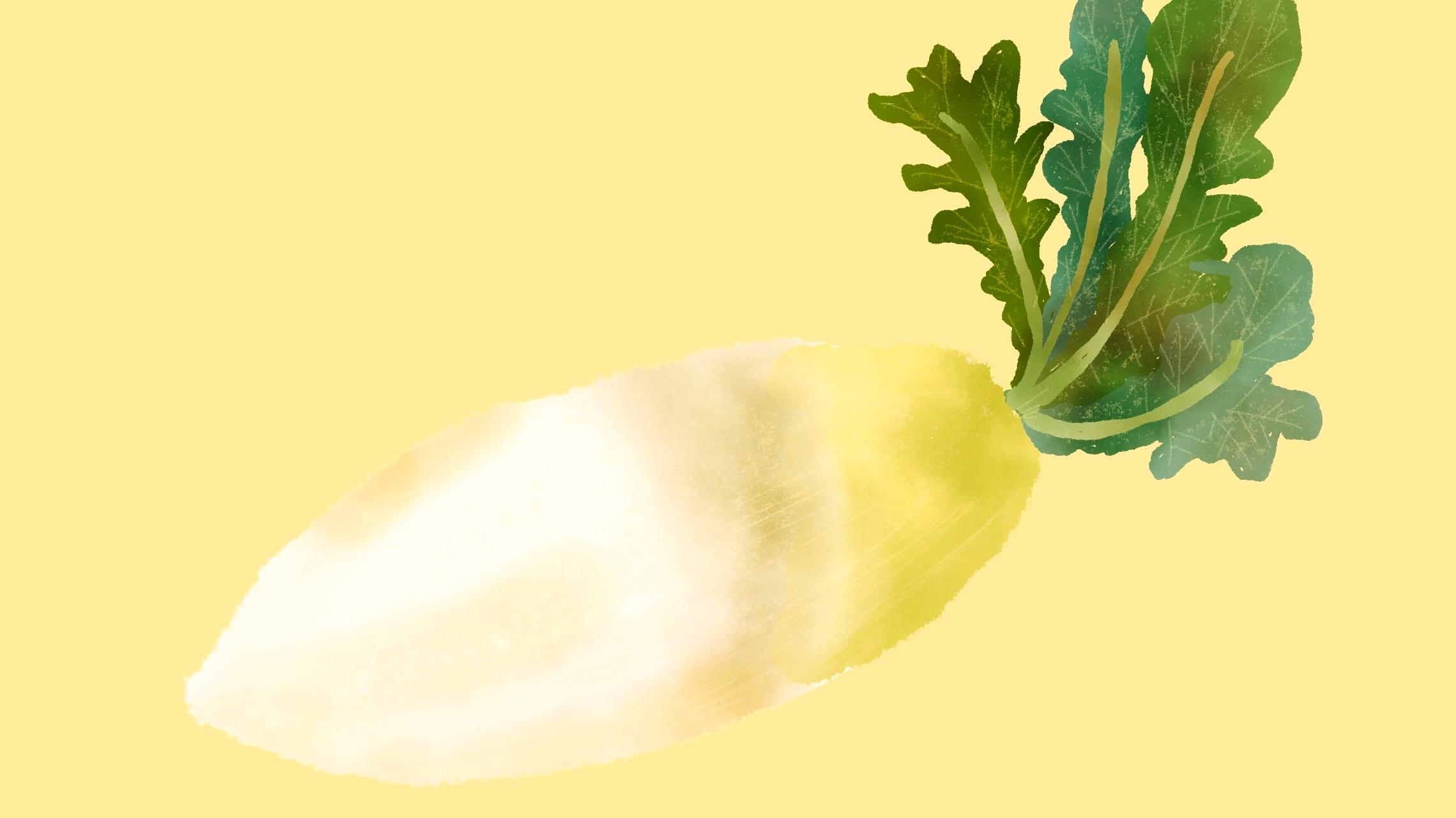 お野菜手帳「三太郎大根」