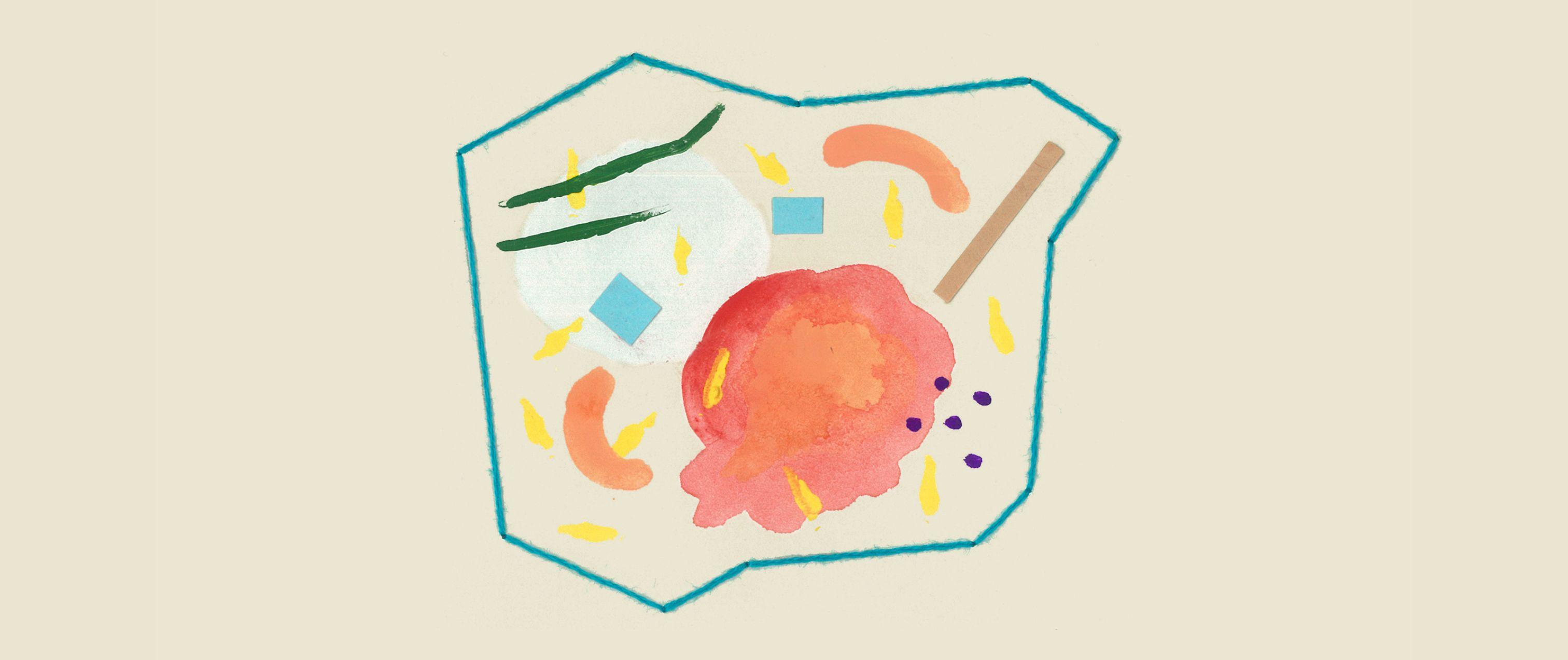 保存食のすゝめ|味噌 〜美味しい味噌ってどんな味噌?〜